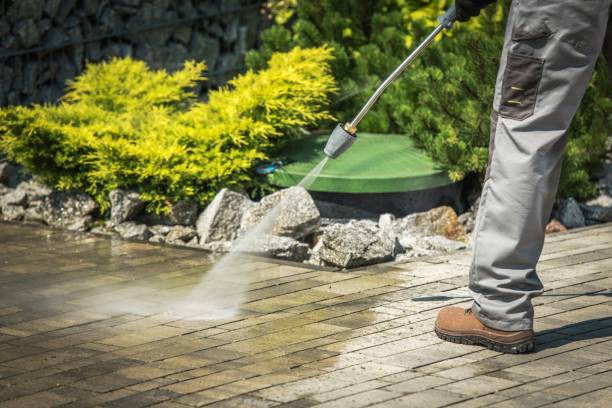 Best Dumpster Area Cleaning  in Spring Valley, NV